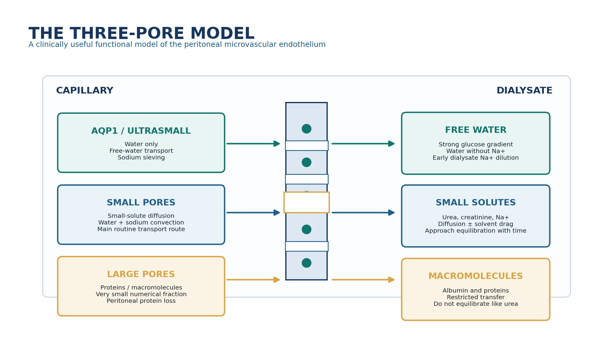 Figure 1.2 - The three-pore model.