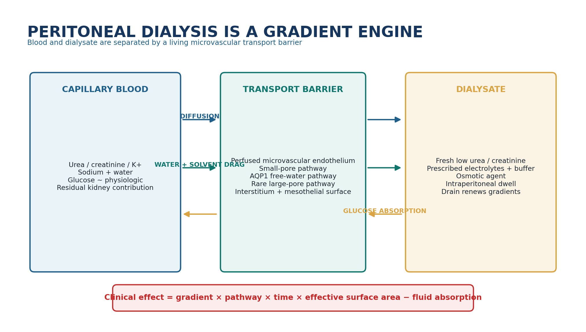 Figure 1.1 - Peritoneal dialysis as a gradient engine.
