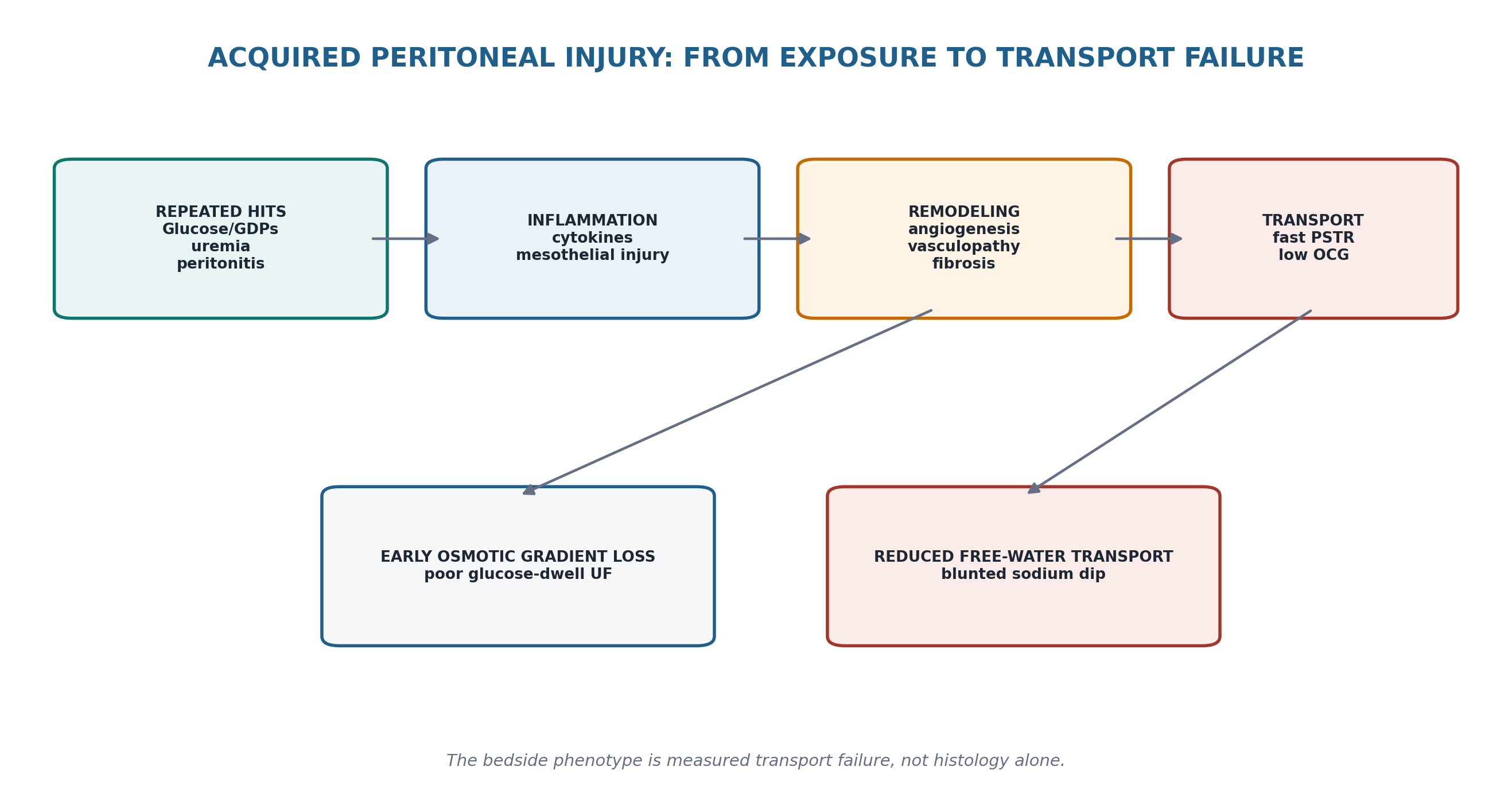Figure 14.2 — Repeated inflammatory and dialysate-related exposures can increase effective vascular surface area, angiogenesis and vasculopathy while fibrosis thickens the interstitial barrier.