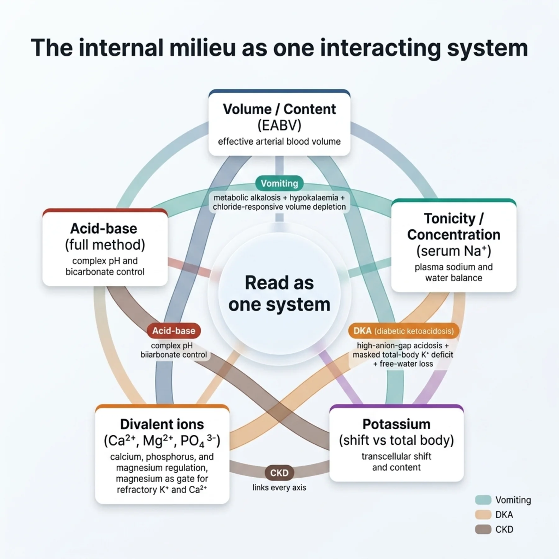 Figure 18.1 - The Internal Milieu as One Interacting System
