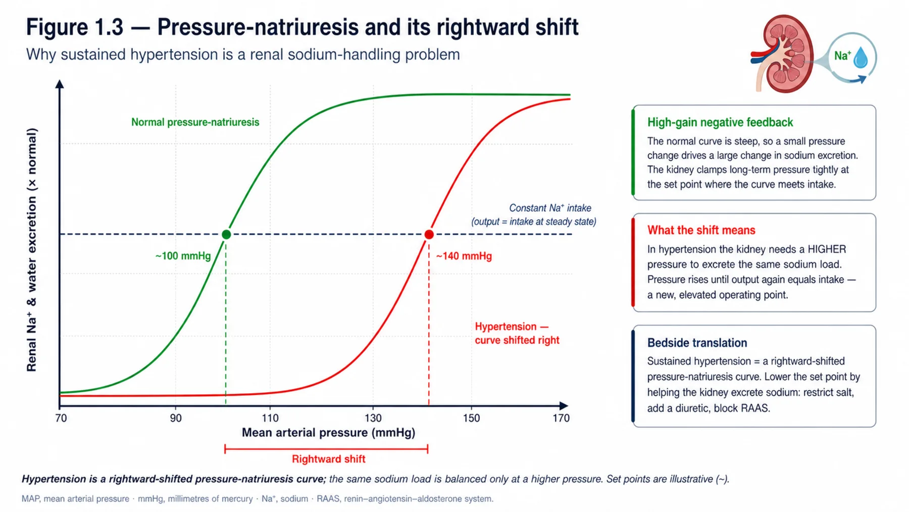 Figure 1.3 - Pressure-natriuresis and its rightward shift