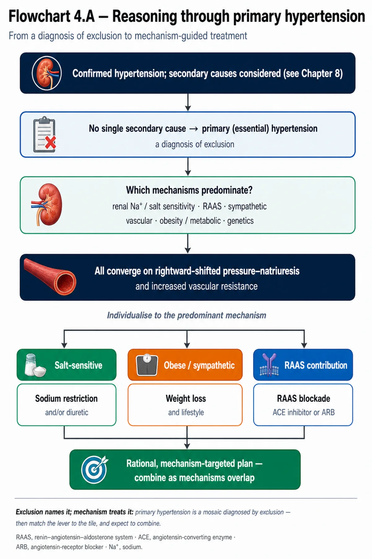 Flowchart 4.A - Reasoning through primary hypertension